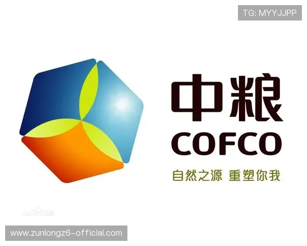 开云Kaiyun备用平台：提供高可靠性的云备份与应急恢复服务方案