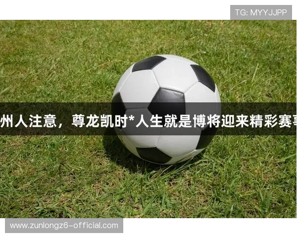 ag尊龙人生就是博如何在游戏中实现人生的博弈与智慧提升